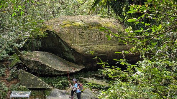 114.11.09草嶺古道芒花季之旅封面