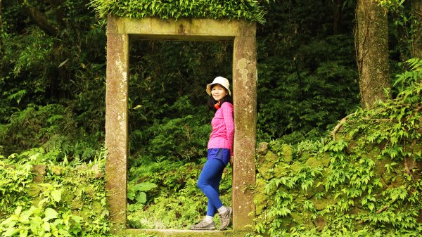 芳草碧連天~淡蘭中路中坑崩山坑古道O型913753