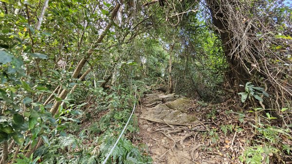 暗影山三進三出2366546