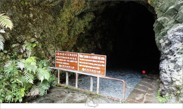 登山健行│花蓮秀林，白楊步道956490