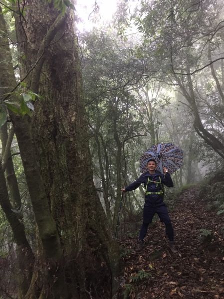 山林靈異事件簿之石門北峰 哈哈山 立鷹山遊記374252