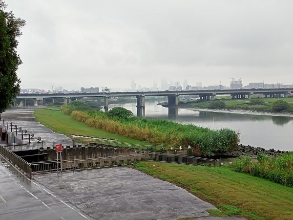 基隆河右岸尋花問草2091137