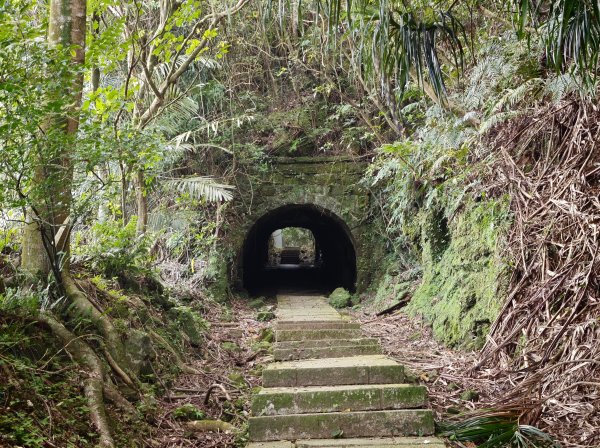 [淡蘭古道] 2026_0531 北路第一段_琉榔路步道