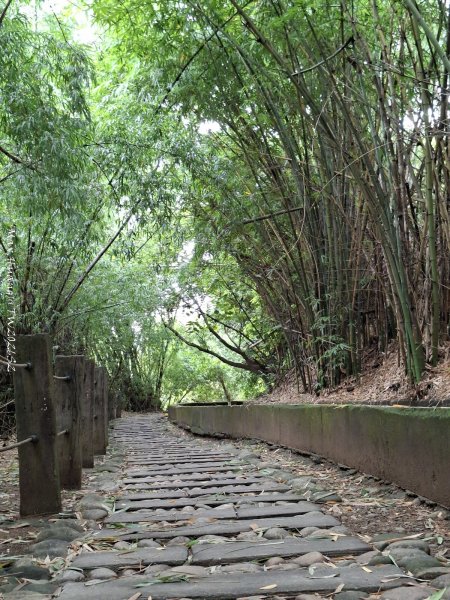 《台中》水圳視野｜烏日知高圳及雪蓮登山步道上學田山202606133074168