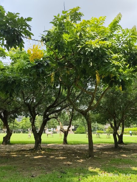 大安森林公園、大港墘公園【走路趣尋寶】【臺北健走趣】2584930