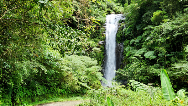 漫步桶后林道，找尋那美麗的桶后瀑布