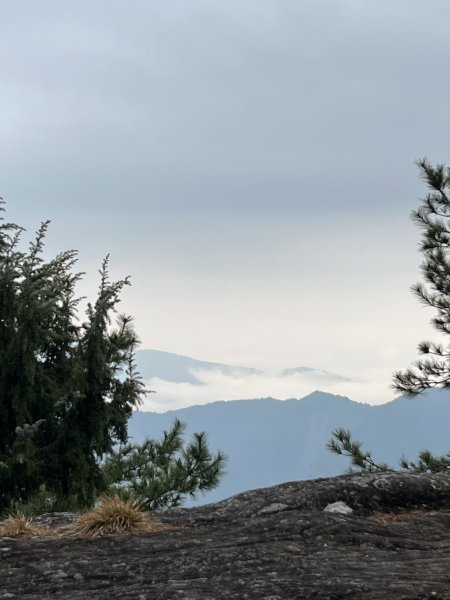 鹿林連走麟趾山2637320