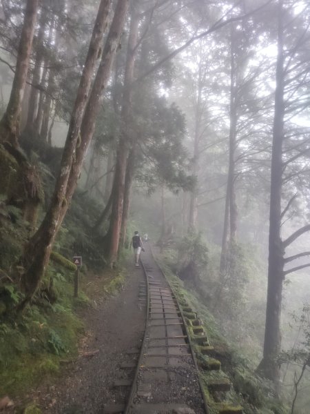 1150728太平山見晴懷古步道3096859