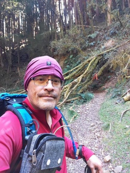 20240222特富野>>塔塔加   🧗塔特縱走⛰️2434757