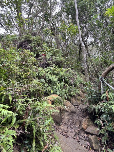 二格山、南邦寮山2941705