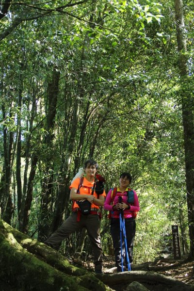 108.12.14台中稍來山（紅榨槭，夕776888
