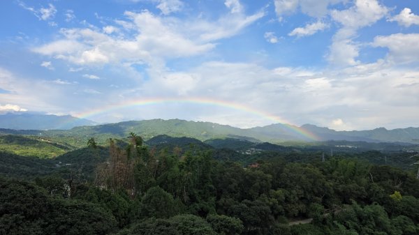 台中大坑頭嵙山（大冠鷲／木蜂／五色鳥／血藤花／鳳凰花）2796621
