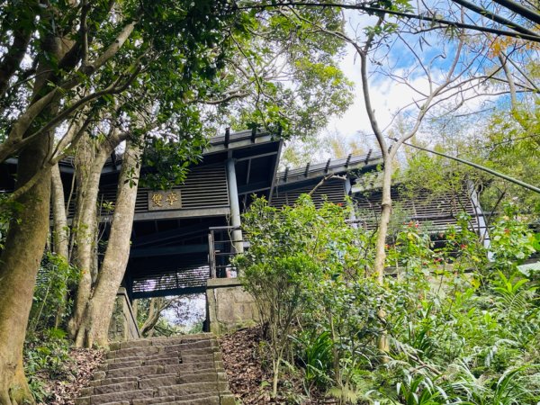 1140302硬漢嶺O繞2724058