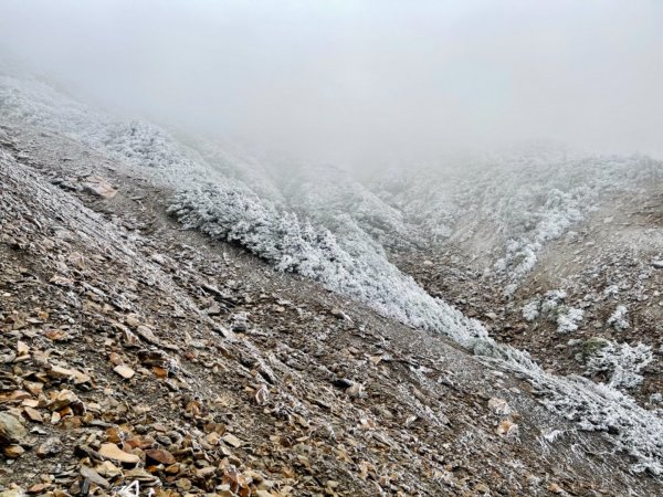 絕美銀白世界 玉山降下今年冬天「初雪」1235979