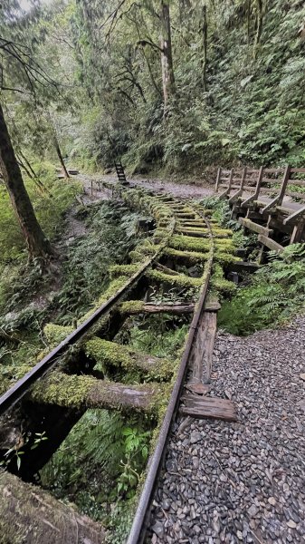 立秋的太平山健行→森鐵蹦蹦車→茂興懷舊步道→見晴古道1825583