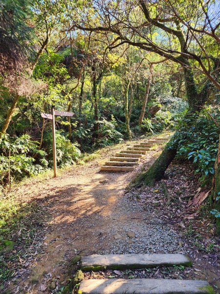 小百岳集起來-姜子寮山2181017