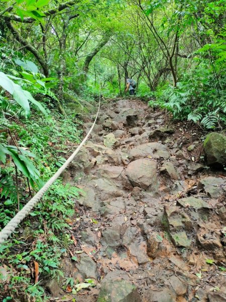 2023/6/19［2023 台北大縱走］（第2段）（二子坪~大屯山~小油坑）2205106