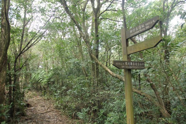 淡蘭古道北路坐山望海1253888