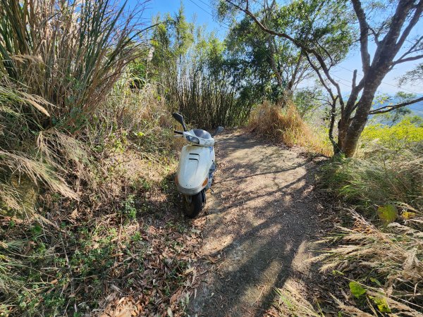 20250114石井山、榴子坑山、後脊山、龍頂山2728597