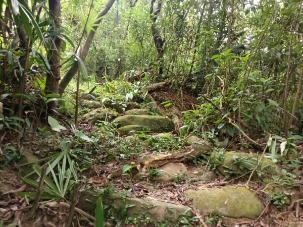 雙溪區雙澳崙+土地公嶺保甲路+青雲古道+遠景古道O型2910423