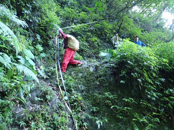 福山往返茶墾山，大台北郊山百岳之馬克完百623953