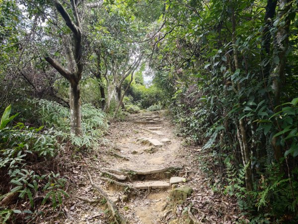 [淡蘭古道] 2026_0523 南路第一段_中埔山步道