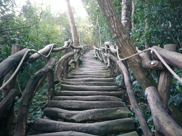 大坑步道全包一起登( 2 3維修)747624