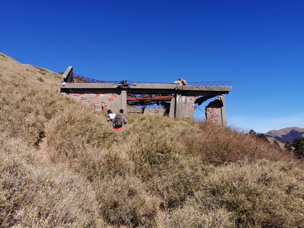 合歡山東峰1297554