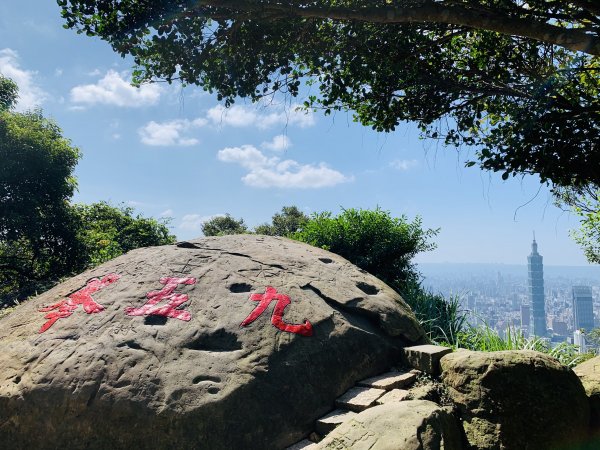 201001-四獸山縱走（虎山、豹山、獅山、象山）1372897