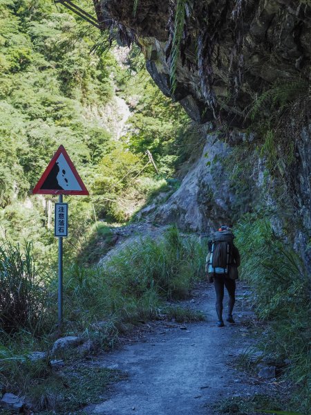 [百岳]能高越嶺逆走與奇萊南峰1042679