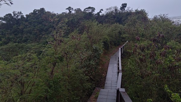台東鯉魚山3017918