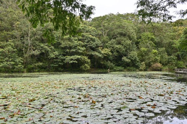 2025_0712 福山植物園2836156