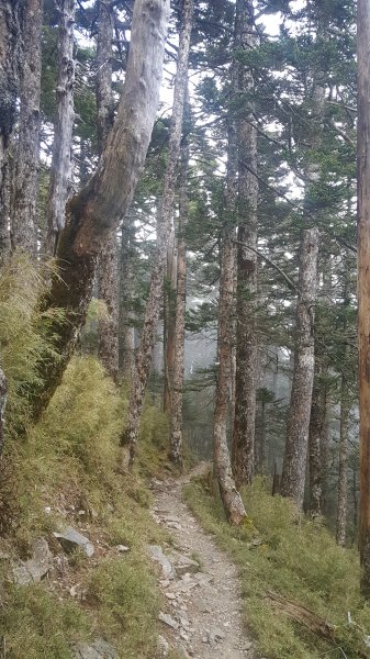 玉山西峰山神祠714160