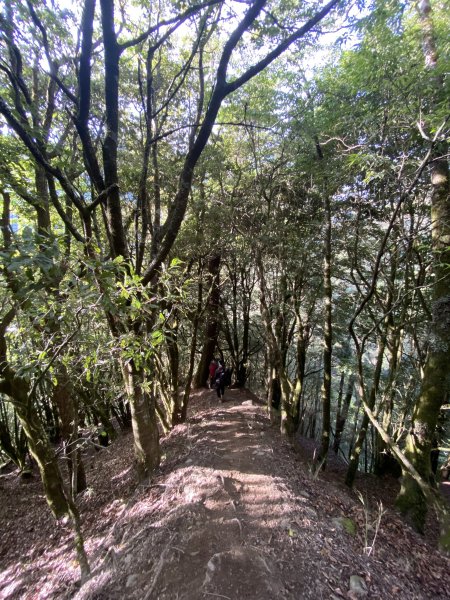 單攻屏風山111.2K最新登山口1411397