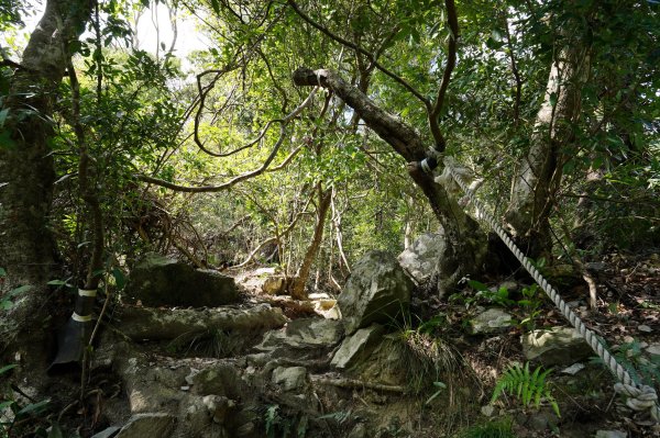 臺中 和平 屋我尾山、十文溪山2699462