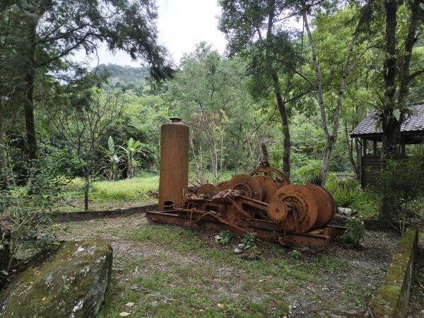 [漫遊縱谷 愛在花東-08/10] 2025_1012 林田山林業文化園區步道2913529