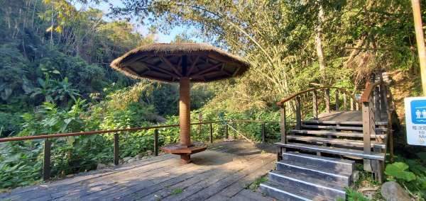 2025-01-30迷糊步道2704457