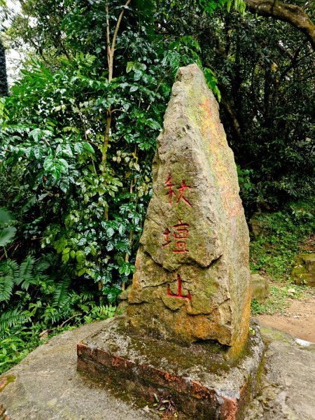 (大棟山系)405高地-2025微笑山線大縱走尋寶集章任務2844196