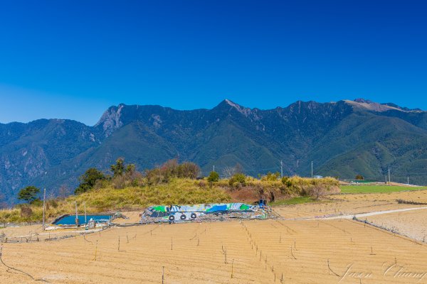 福壽山千櫻園櫻花盛開2724937