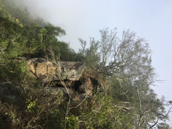 龍麟山步道（王爺崙2703658