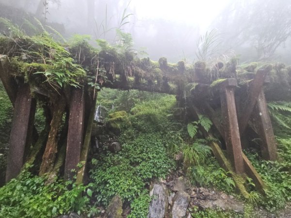 見晴懷古步道-(宜蘭)臺灣百大必訪步道2827765