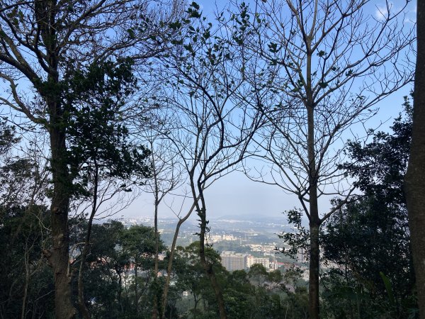 石門山登山步道2396656