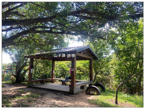 山子頂山 (桃園、龜山)2826860
