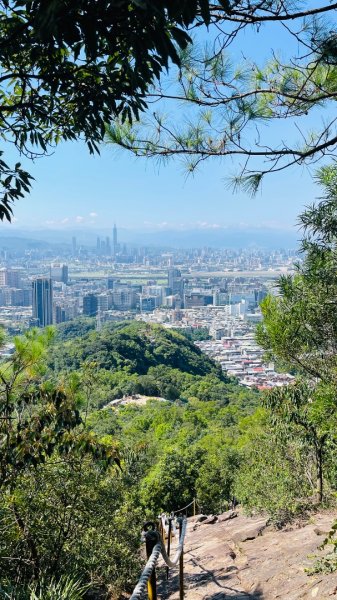 金面山親山步道2867837