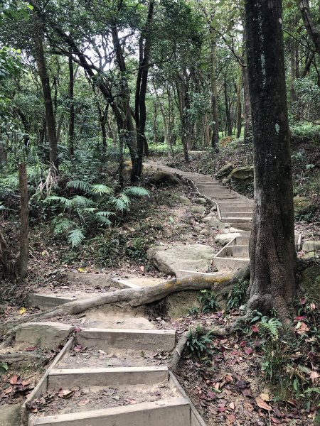 金面山親山步道525556