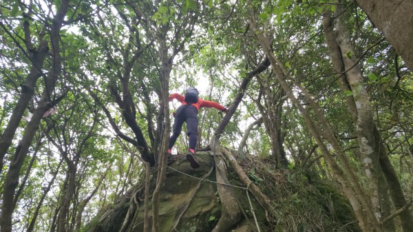 峰頭尖~峰頭尖東峰2761352