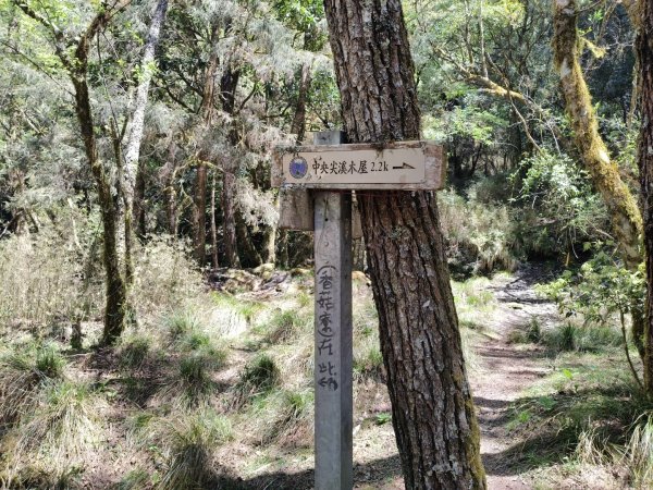 中央尖山四天20260412~153037948