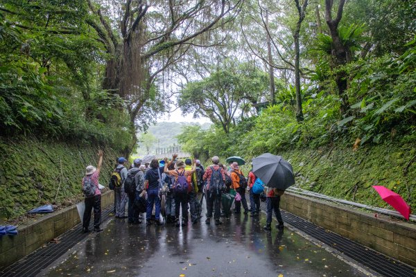 暖東峽谷/草嶺舊隧道2816507