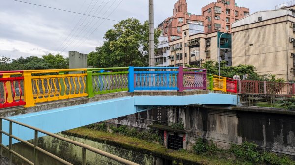 南港四分溪,三重埔埤濕地復育,大坑溪2502949