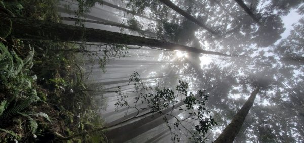 橫沙迪O型縱走_大雪山社區登山口2826551